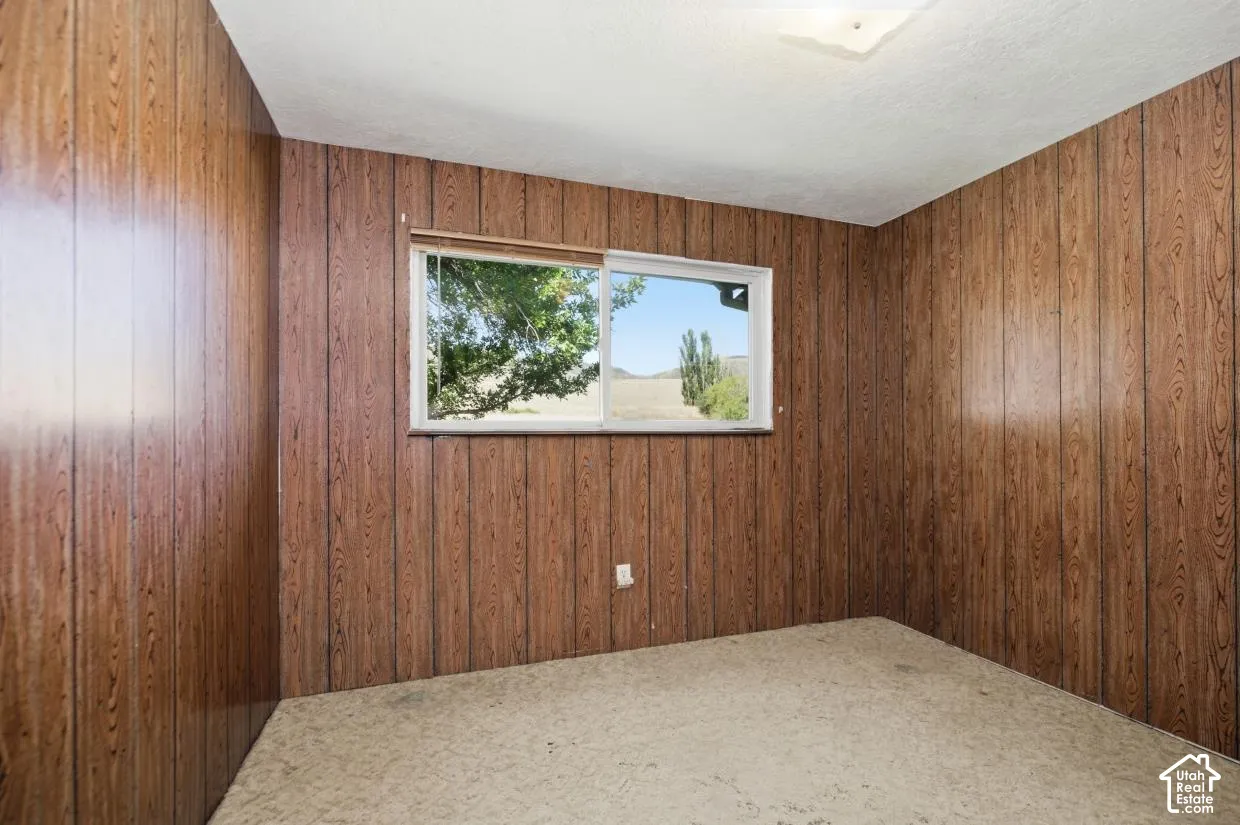 Interior space featuring wood-look paneling, carpet flooring, a window with exterior scenery, and a ceiling-mounted light fixture