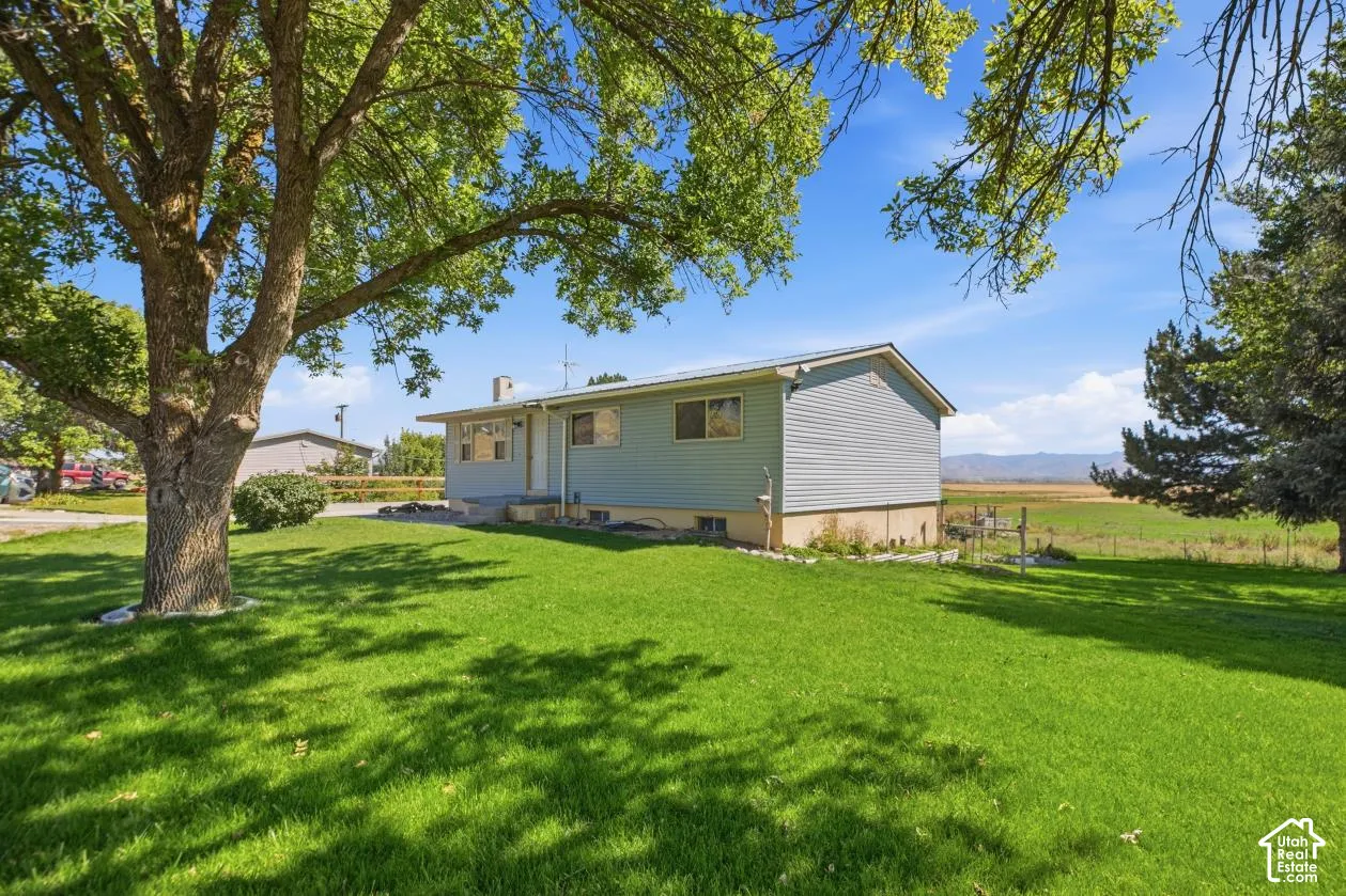 Expansive green lawn with mature shade trees and clear blue skies