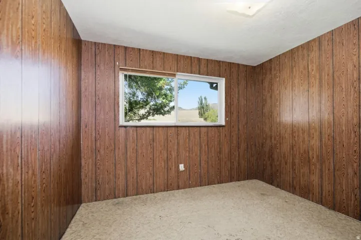 Interior space featuring wood-look paneling, carpet flooring, a window with exterior scenery, and a ceiling-mounted light fixture