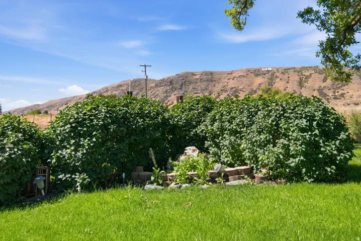 Expansive grassy lawn with established hedges and a distant mountain backdrop