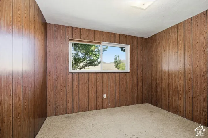 Interior space featuring wood-look paneling, carpet flooring, a window with exterior scenery, and a ceiling-mounted light fixture