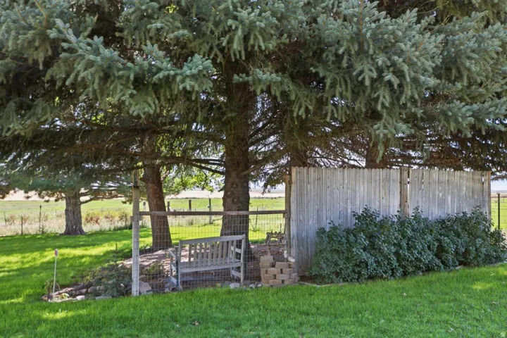 Mature evergreen trees providing natural shade, wood-panel fencing, and established ground cover