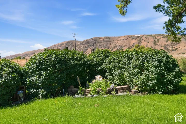 Expansive grassy lawn with established hedges and a distant mountain backdrop