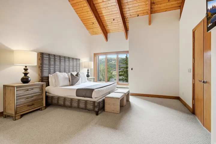 Vaulted wood-paneled ceiling, large glass sliding door, light-colored carpeting, light wood interior door