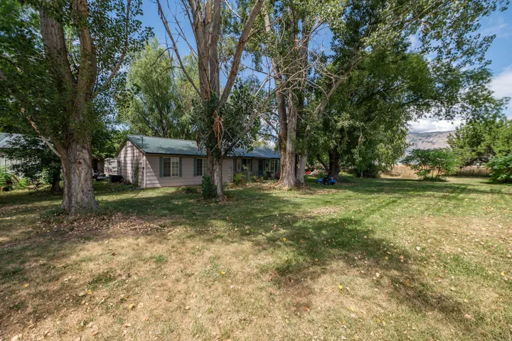 Expansive lot with mature trees, a manicured lawn, and a light-colored exterior structure featuring a green roof