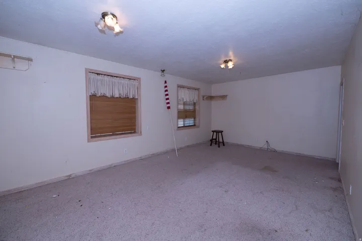 Carpeted flooring, two windows with wood-finish blinds, and ceiling-mounted light fixtures
