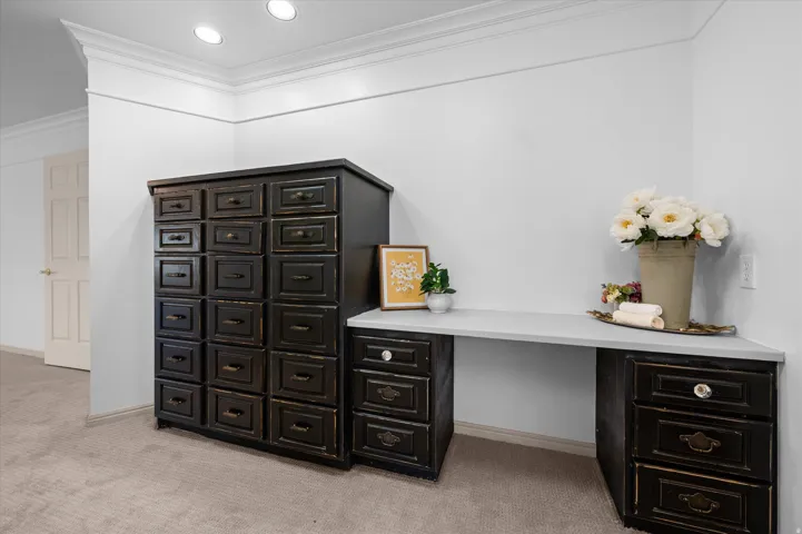 Recessed lighting, crown molding, built-in storage cabinetry, gray countertop, paneled interior door