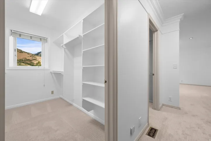 Custom built-in shelving, organized closet system, neutral carpeting, crown molding, and mountain scenery through the window