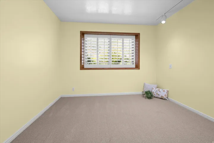 Wall-to-wall carpeting with an individual window featuring white plantation shutters and a wood-finish frame, complemented by track lighting