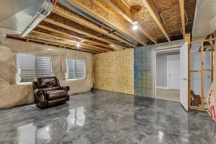 Unfinished basement