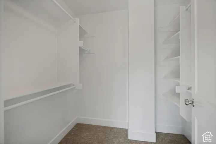 Walk-in closet with built-in shelving, hanging rods, and carpet flooring
