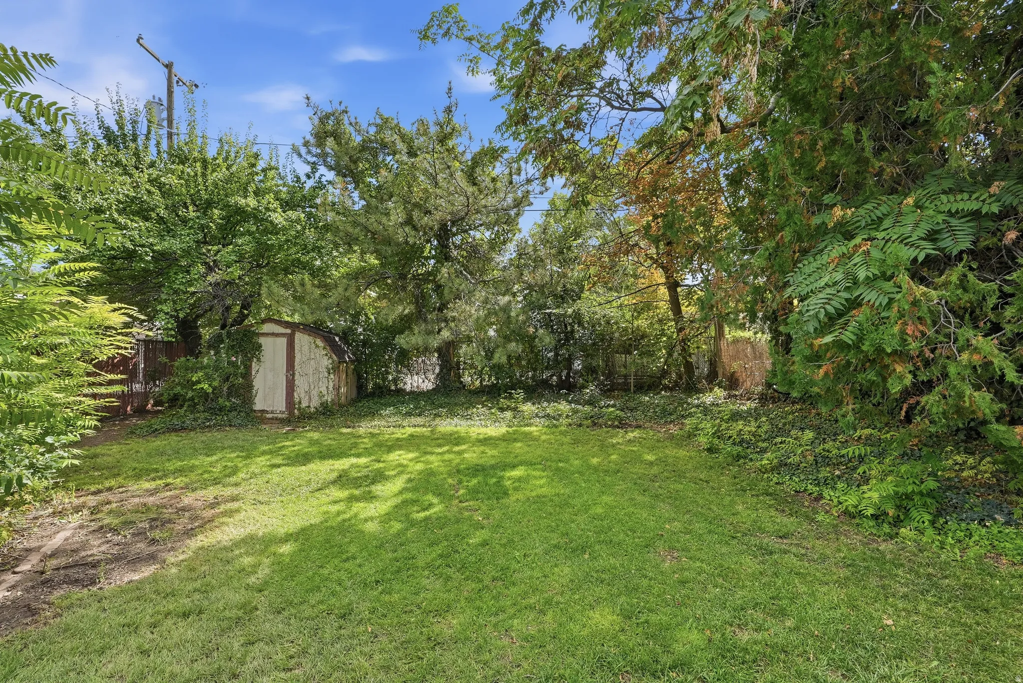 Expansive grassy yard with mature trees and a storage shed