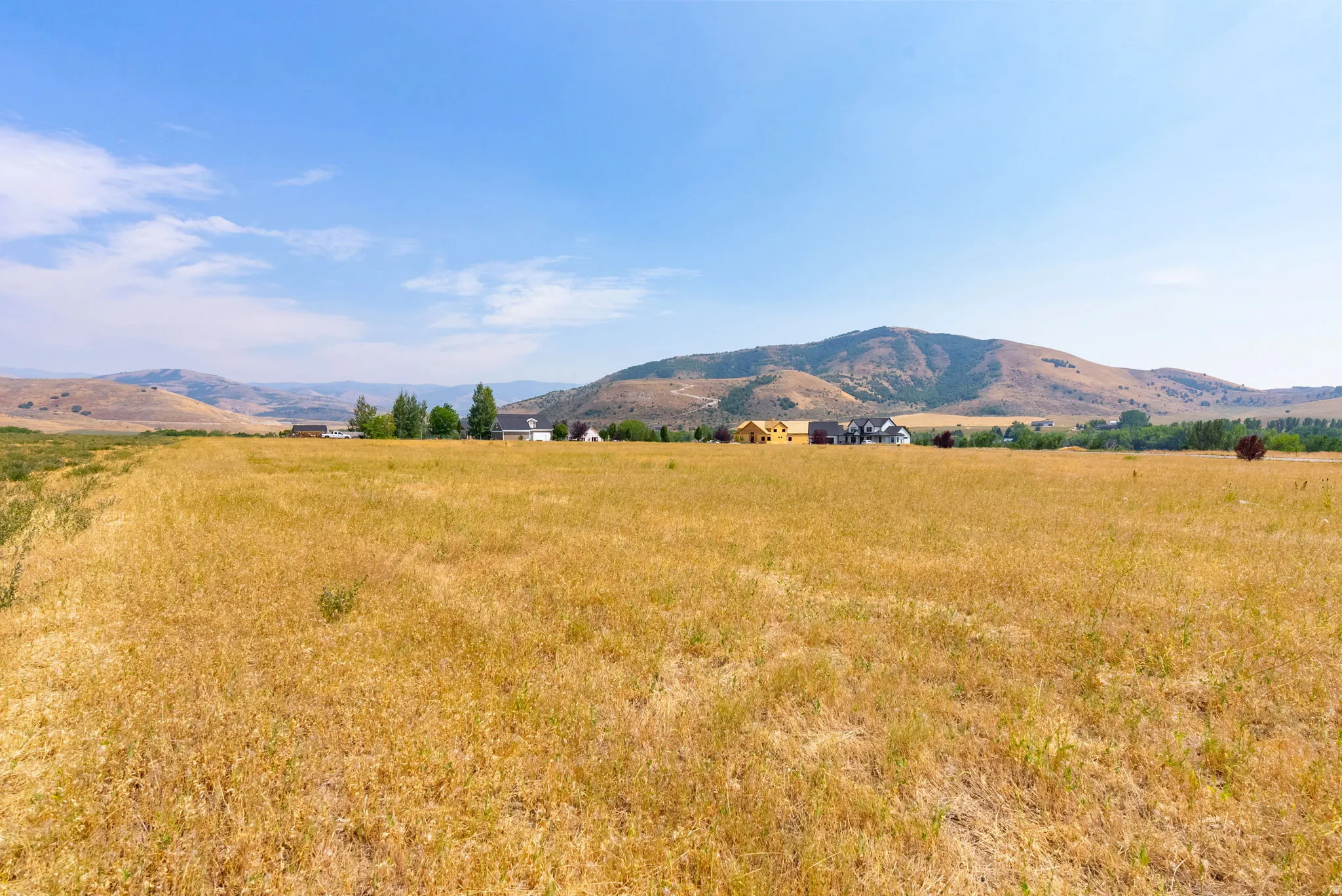 Expansive land parcel featuring natural grasses and distant mountain backdrop