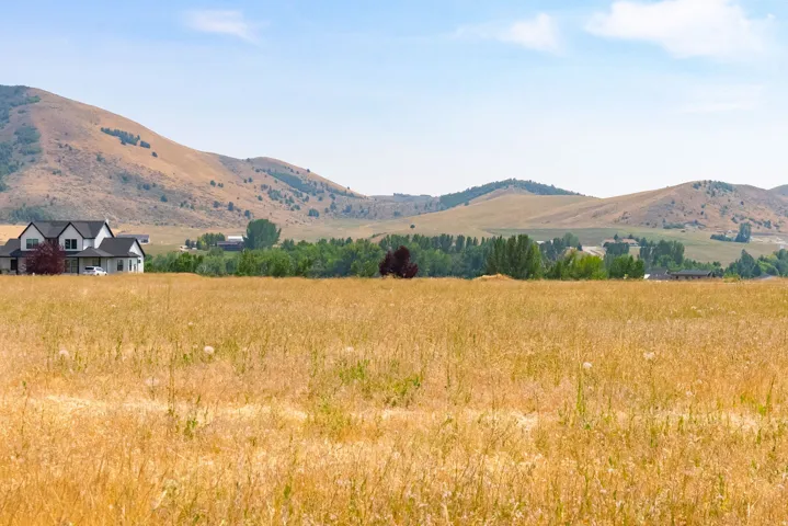 Expansive golden field with a distant residence featuring a dark roof and light-colored siding, set against a backdrop of rolling hills and distant green trees