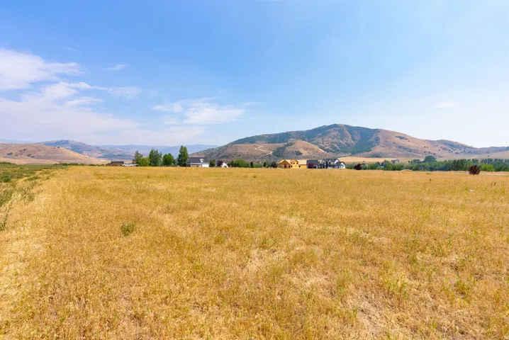 Expansive land parcel featuring natural grasses and distant mountain backdrop