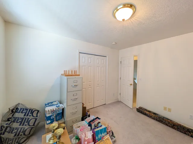 Recessed lighting, flush mount ceiling fixture, textured ceiling, light-colored carpeting, two-panel interior doors