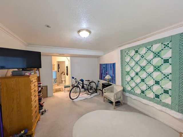 Recessed ceiling light, crown molding, and wall-to-wall carpeting