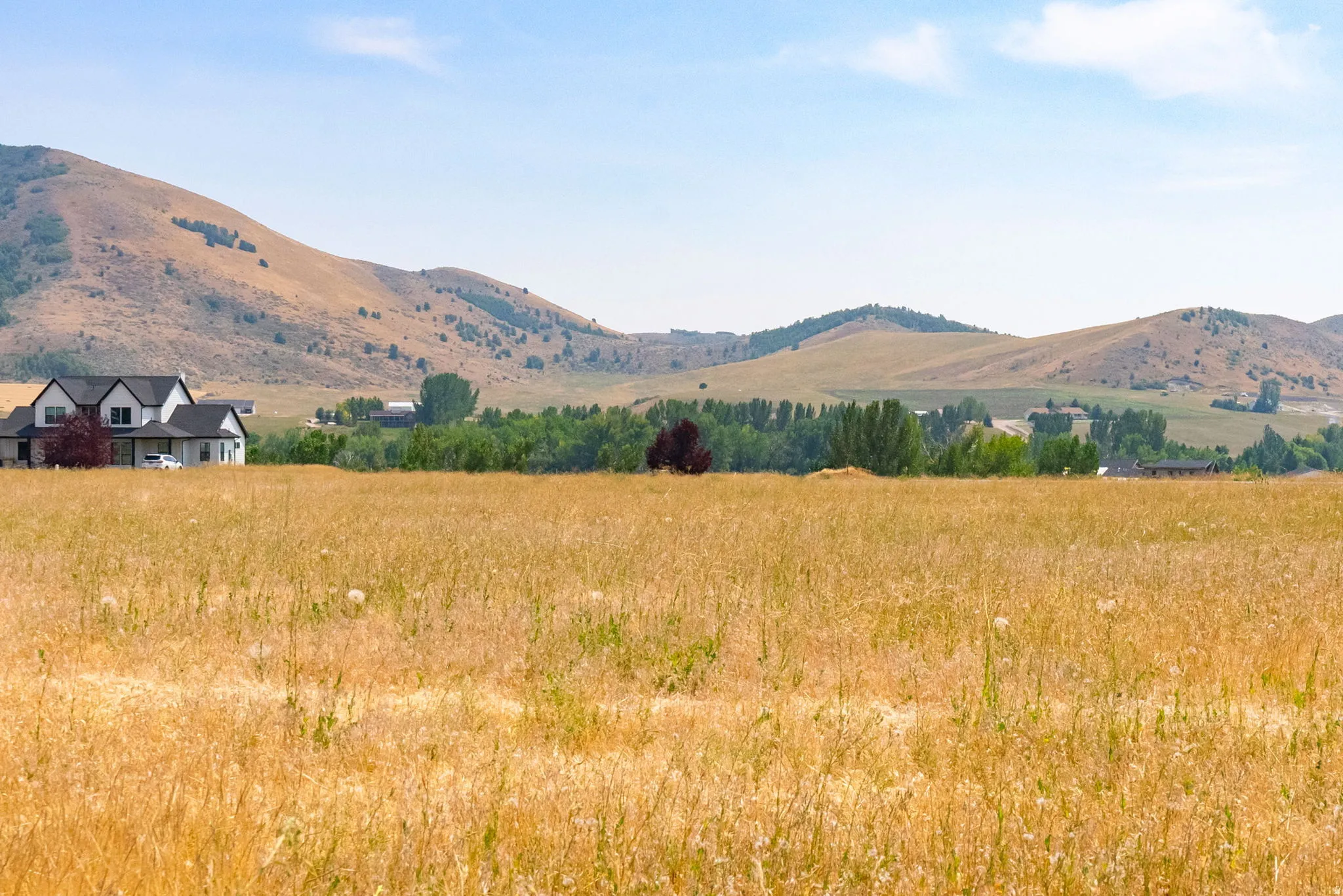 Scenic rural property featuring a charming farmhouse with traditional architecture, set on expansive golden grain fields backed by rolling hills