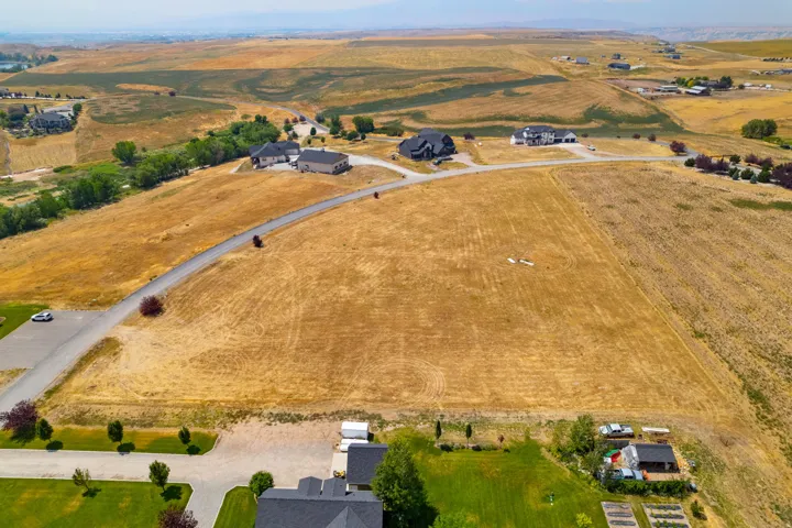 Expansive open land with a paved road, scattered mature trees, and distant residential structures