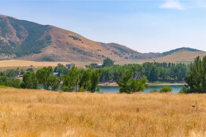 Expansive natural landscape with a calm body of water, bordered by dense tree lines and rolling hills, under a clear sky