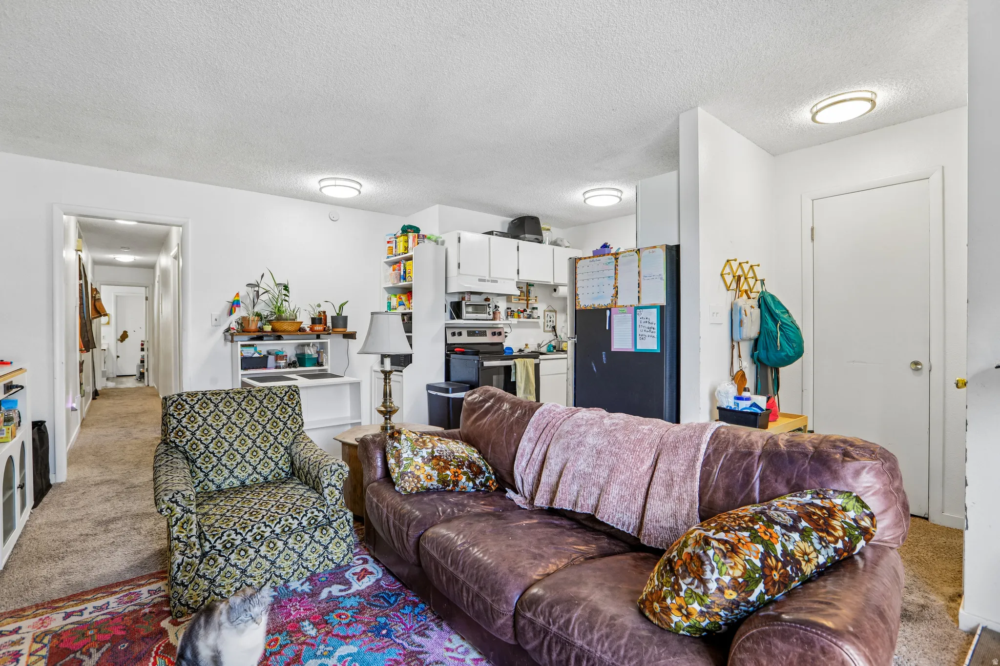Living area with carpet flooring, flush-mount ceiling lighting, and a partial kitchen visible