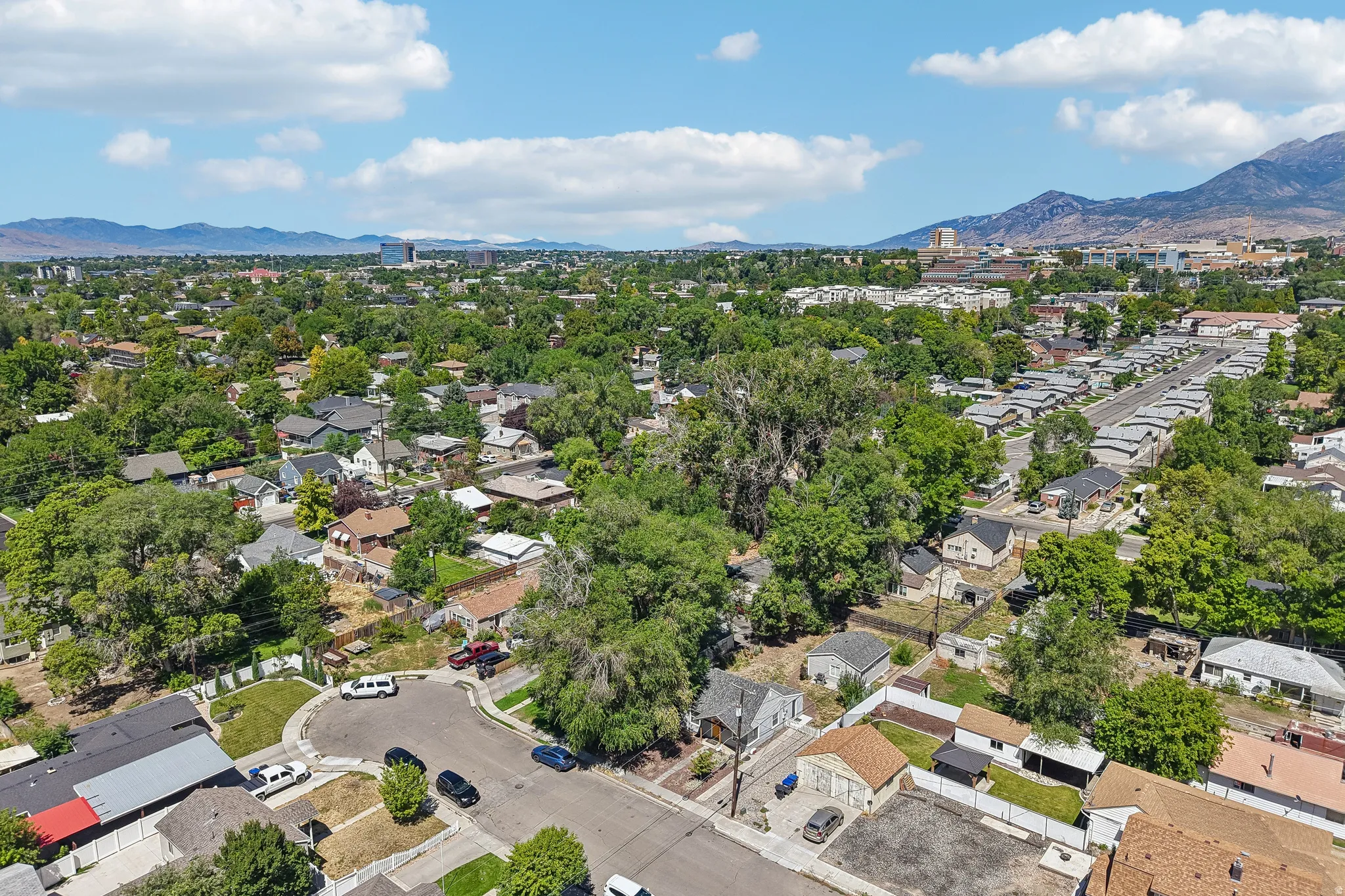 Residential neighborhood with abundant mature trees and distant mountain ranges
