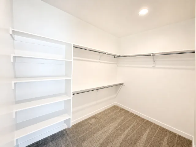 Recessed ceiling light, built-in shelving, chrome hanging rods, and carpet flooring