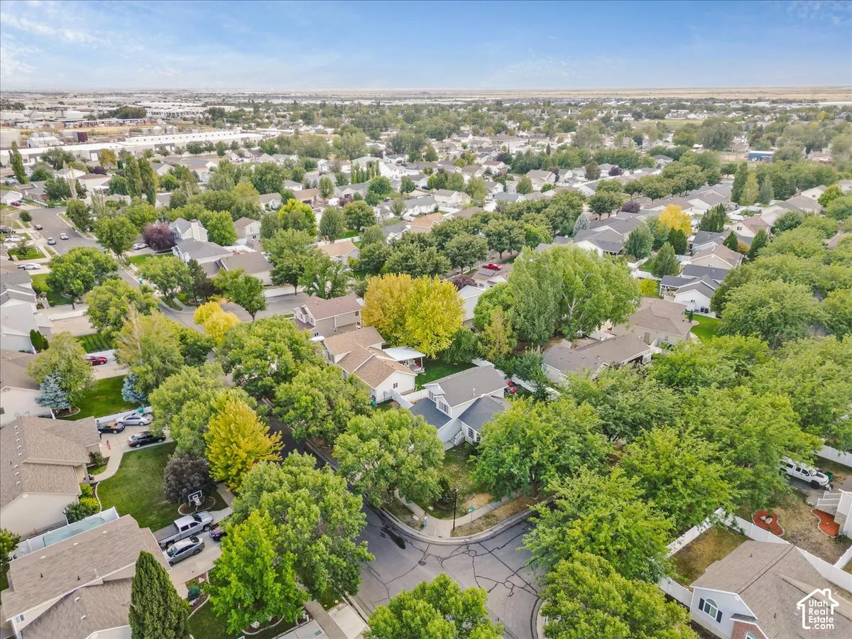 Established residential neighborhood featuring mature landscaping with abundant trees throughout the tree-lined streets
