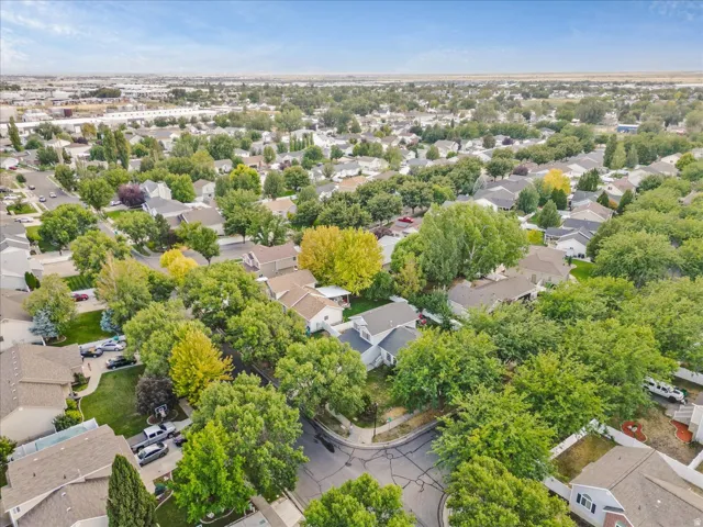 Established residential neighborhood featuring mature landscaping with abundant trees throughout the tree-lined streets