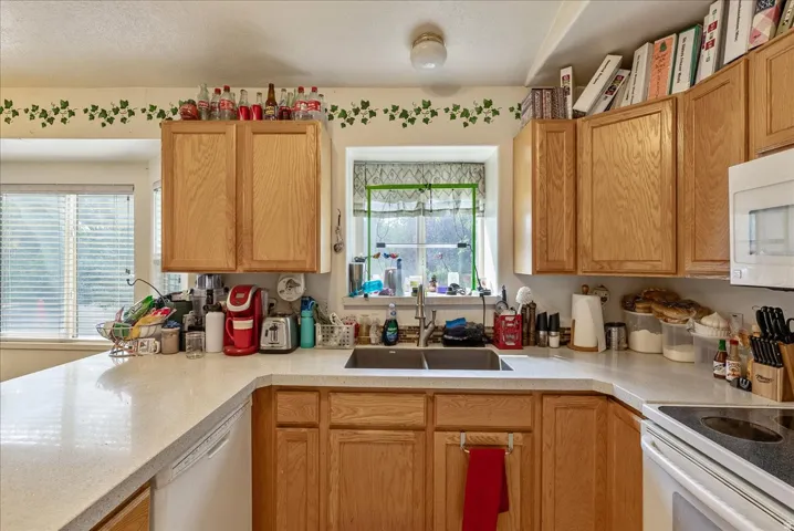 Kitchen featuring wood cabinetry, light-toned countertops, a double basin sink, and a built-in microwave