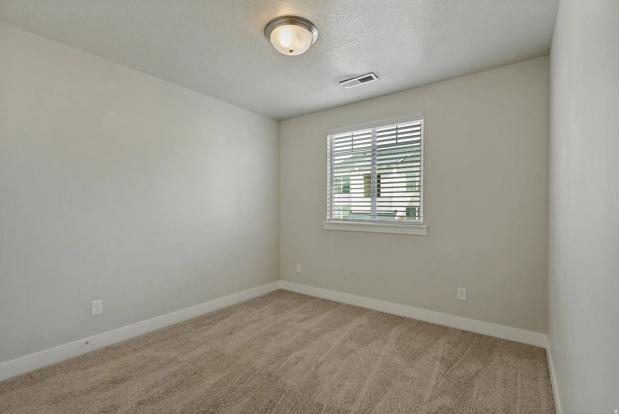 Neutral wall paint, plush new carpeting, window with blinds, and ceiling-mounted light fixture.