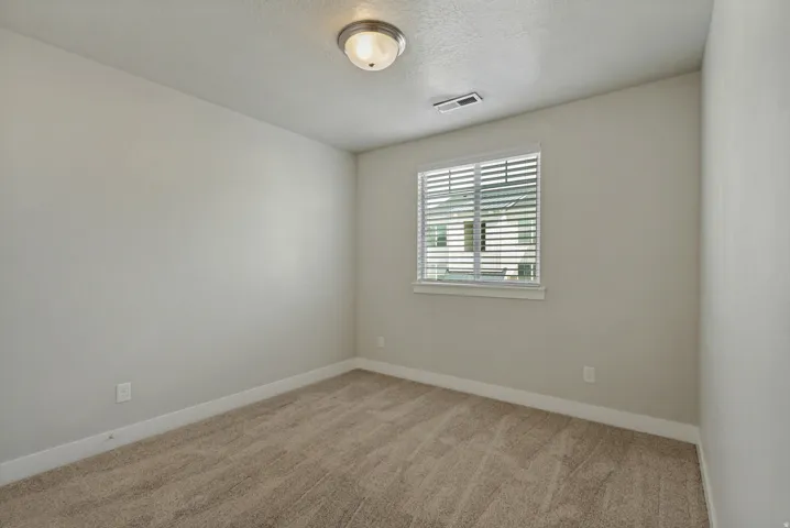 Neutral wall paint, plush new carpeting, window with blinds, and ceiling-mounted light fixture.