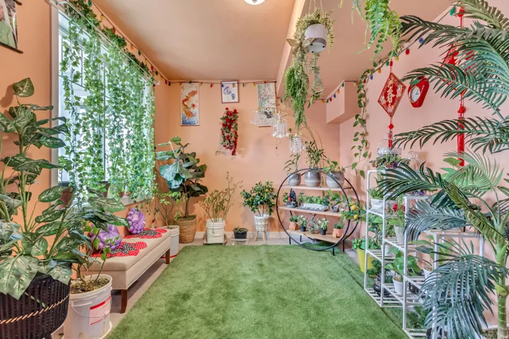 Window with decorative hanging greenery, recessed ceiling lighting, and a neutral wall color
