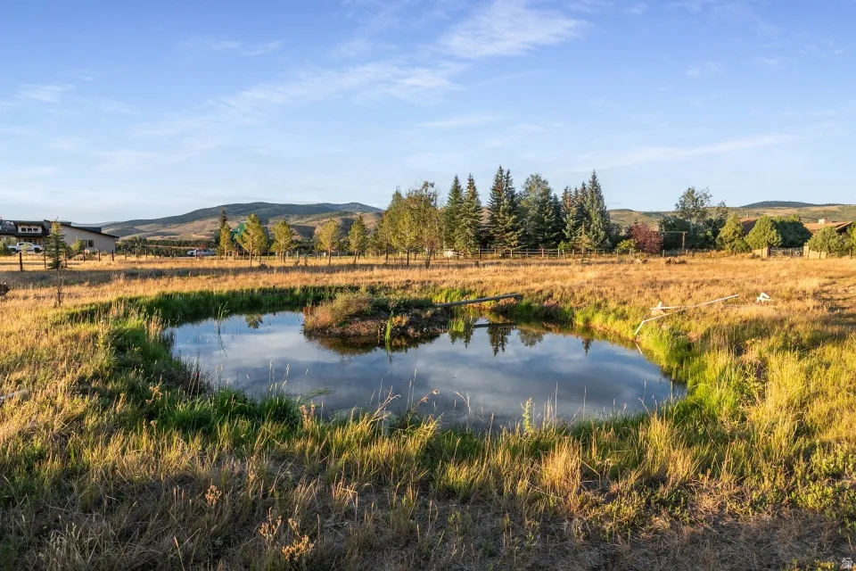 Expansive natural pond, surrounding grassy area, distant evergreen trees, and rolling hills
