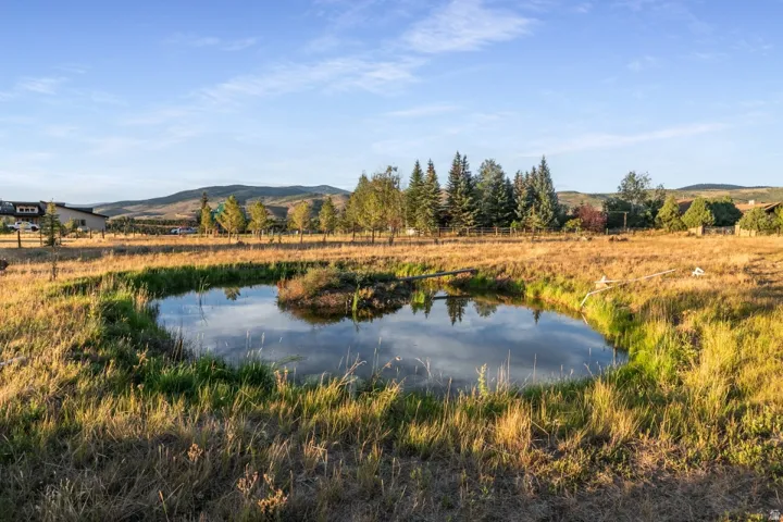 Expansive natural pond, surrounding grassy area, distant evergreen trees, and rolling hills