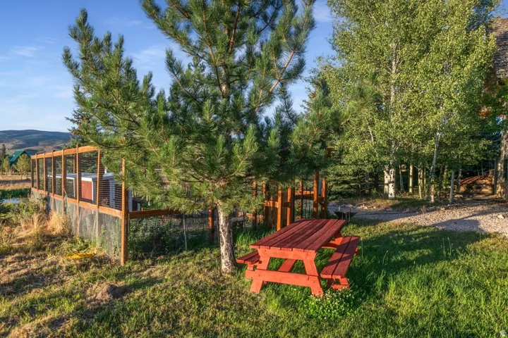 Wood-framed chicken coop with wire fencing, mature evergreen trees, and a gravel pathway