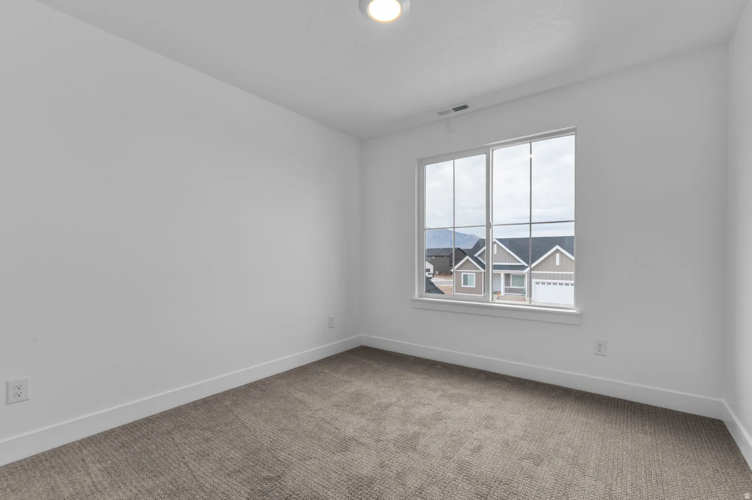 Neutral tone wall paint, carpet flooring, large window, and ceiling-mounted light fixture