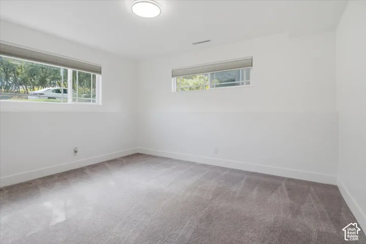 Downstairs bedrooms with wall-to-wall carpeting, two windows, and overhead lighting