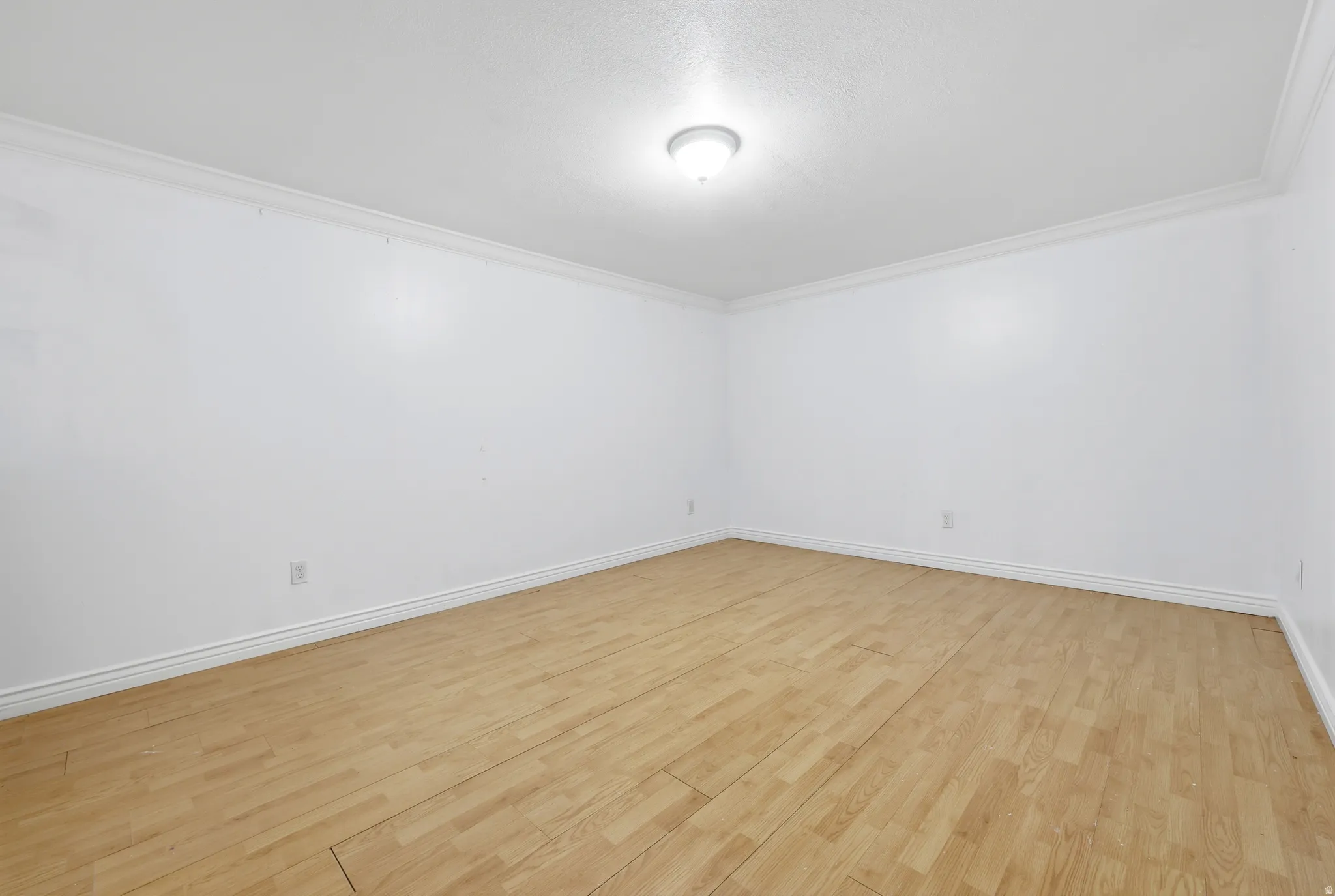 Spacious room featuring light wood-finish flooring, white walls, crown molding, and a flush-mount ceiling light