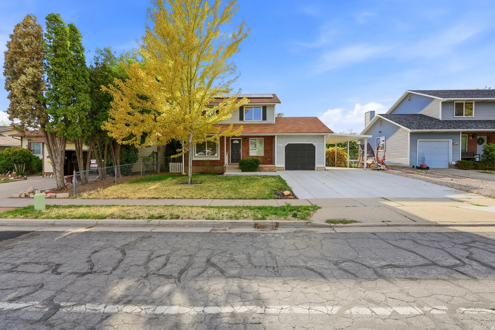 Charming brick colonial with mature landscaping featuring a golden-hued deciduous tree and established evergreen plantings