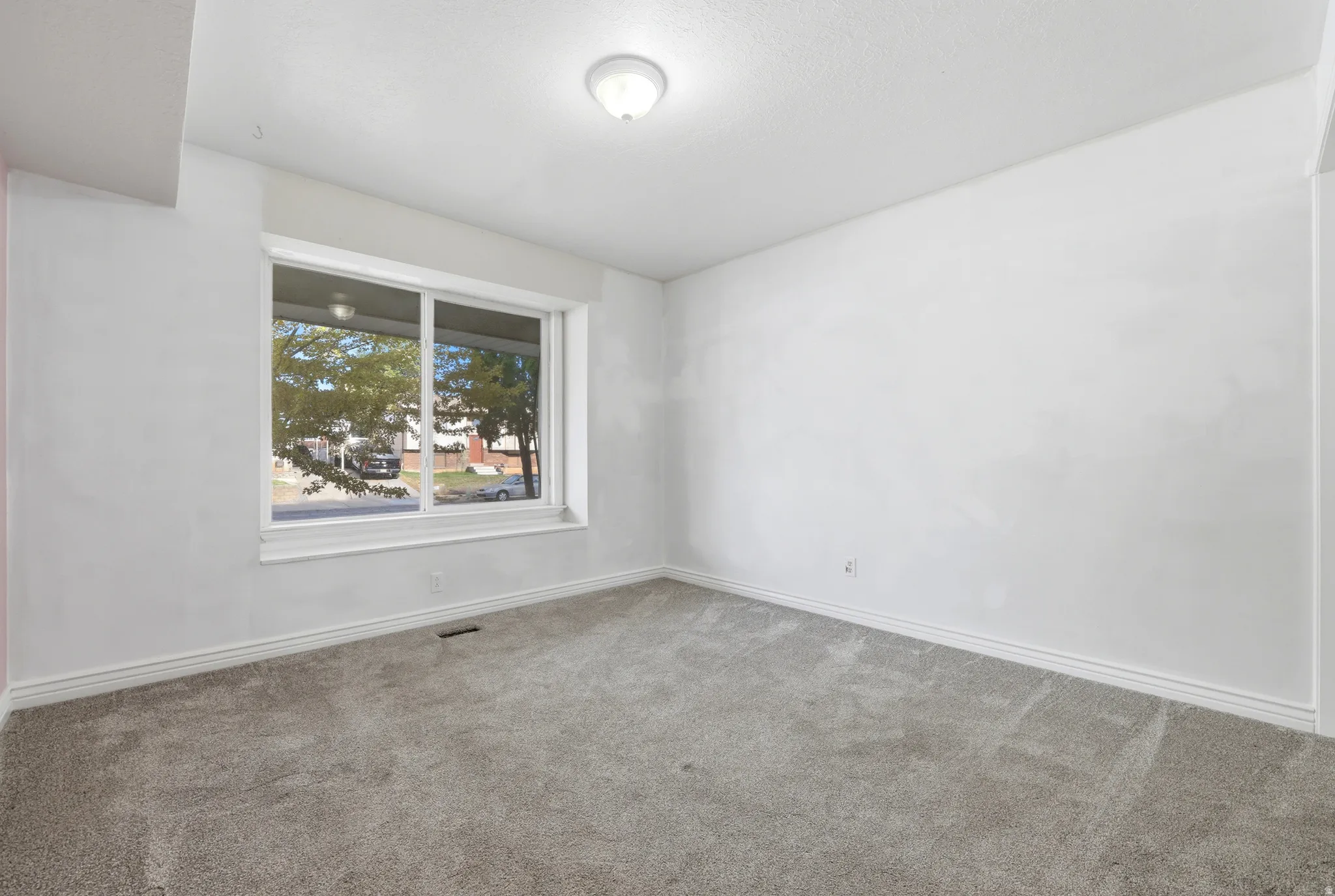 Plush gray carpet, white walls, white trim, and a ceiling-mounted light fixture
