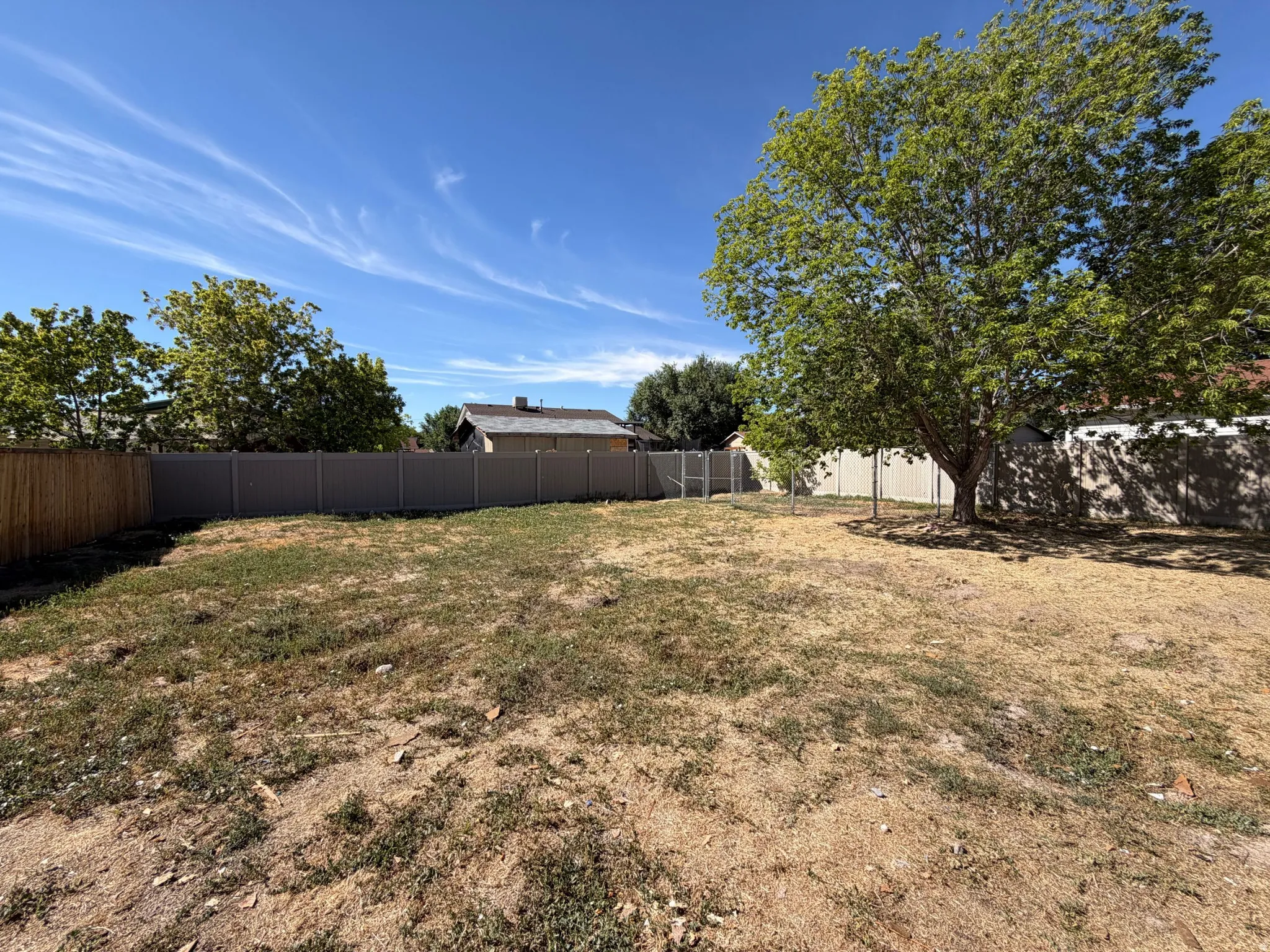 Expansive backyard featuring a mature tree, perimeter fencing, and open ground