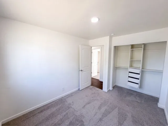 Wall-to-wall carpeting, recessed ceiling lighting, built-in closet organization system, and white interior doors