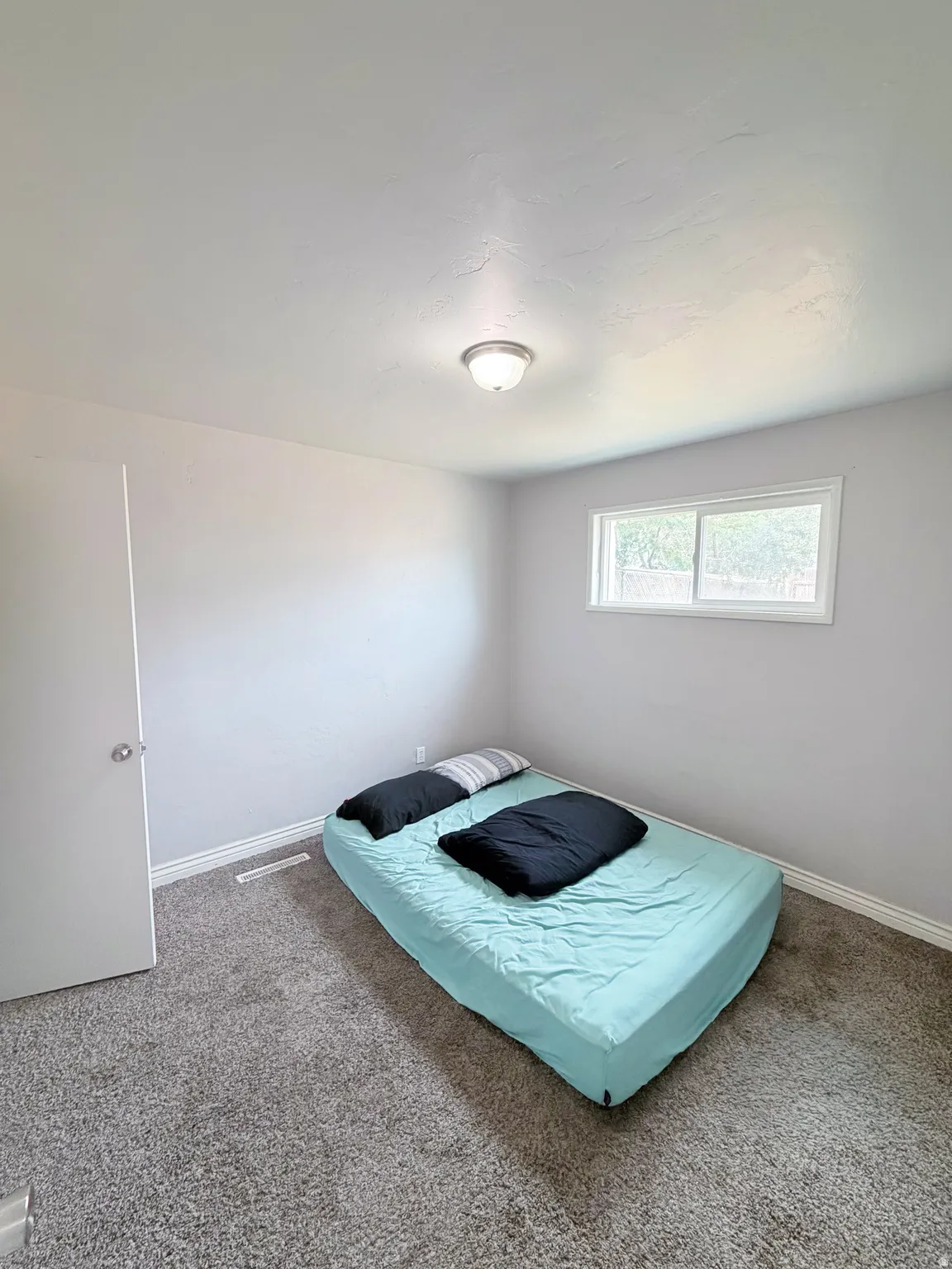 Wall-to-wall carpeting with light gray walls, a flush-mount ceiling light, and a white-framed window