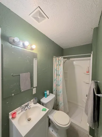 Refreshed bathroom featuring soft green painted walls, vanity sink with chrome fixtures, toilet, and shower/tub combination with coordinating curtain
