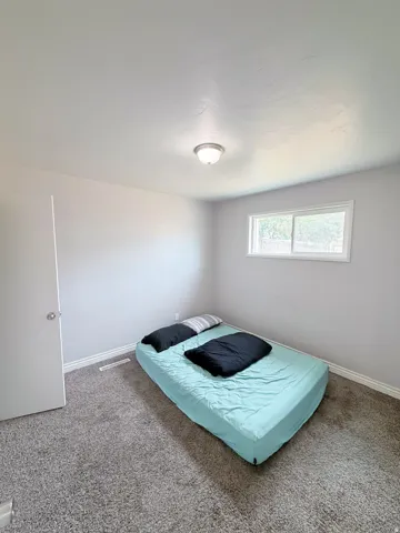 Wall-to-wall carpeting with light gray walls, a flush-mount ceiling light, and a white-framed window