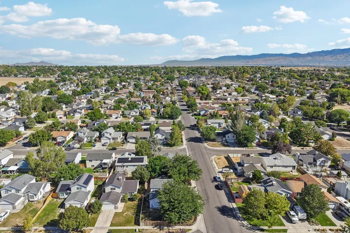 Established neighborhood with mature trees and a residential street layout