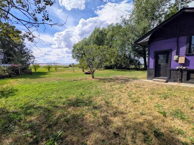 Spacious grounds featuring mature shade trees, open lawn, and a modern purple-finished outbuilding with covered entry