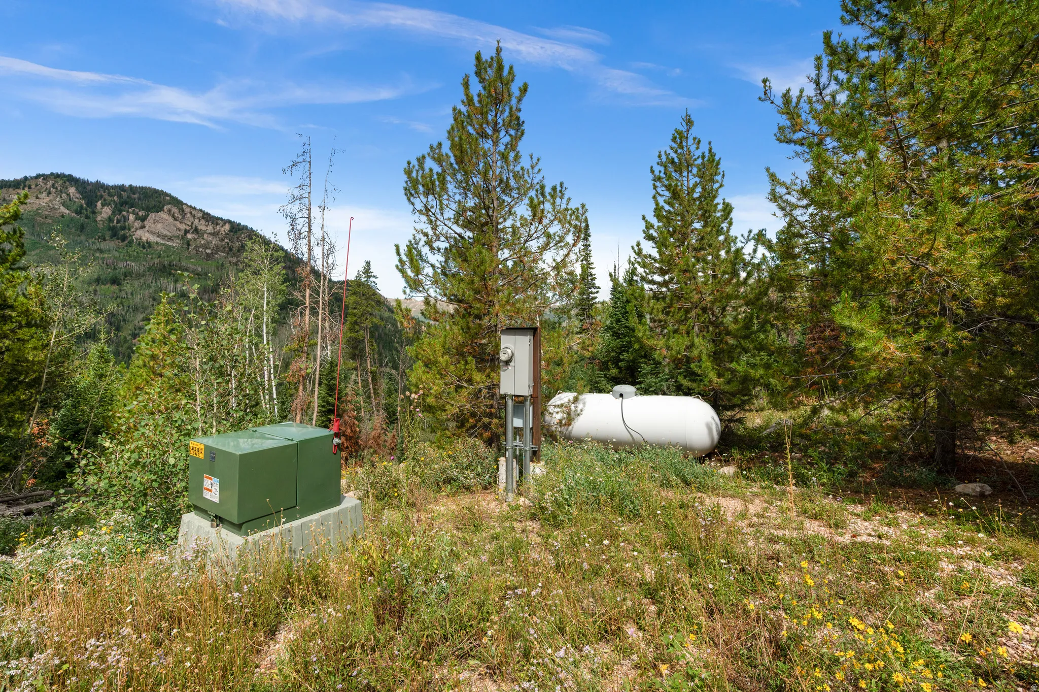800 gallon Propane Tank