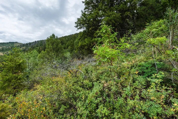 3716 E Chokecherry Ln, Kamas, Utah 84036